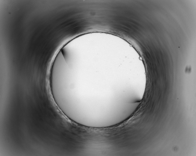X0000103421104200810101013