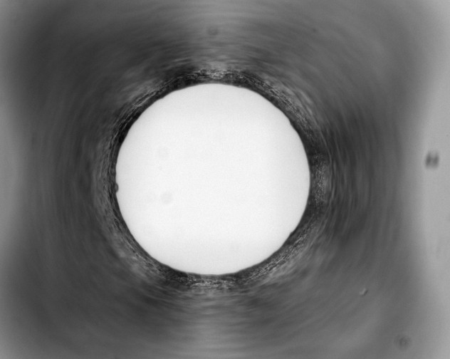 X0000103421105200810101012