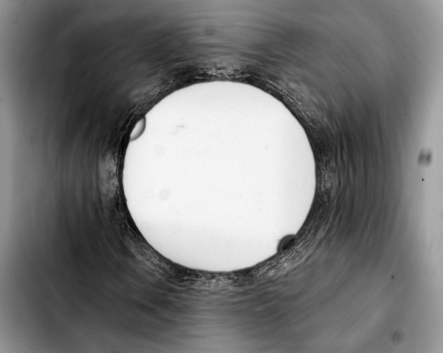 X0000103421106200810101012