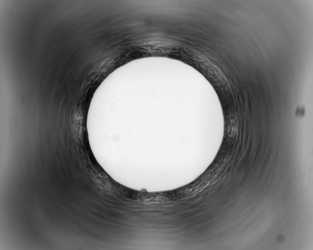 X0000103421108200810101012
