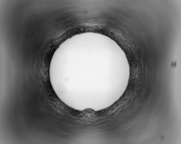 X0000103421109200810101012