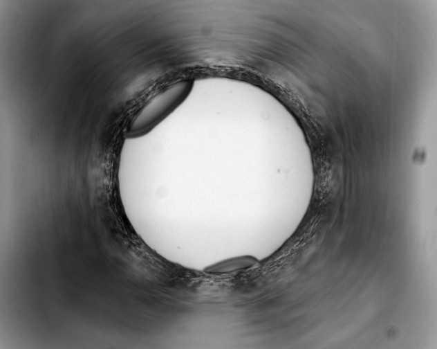 X0000103421110200810101012