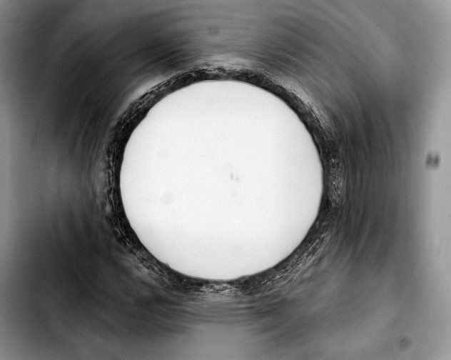 X0000103421112200810101012
