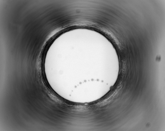 X0000103421114200810101012
