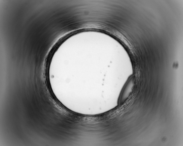 X0000103421116200810101012