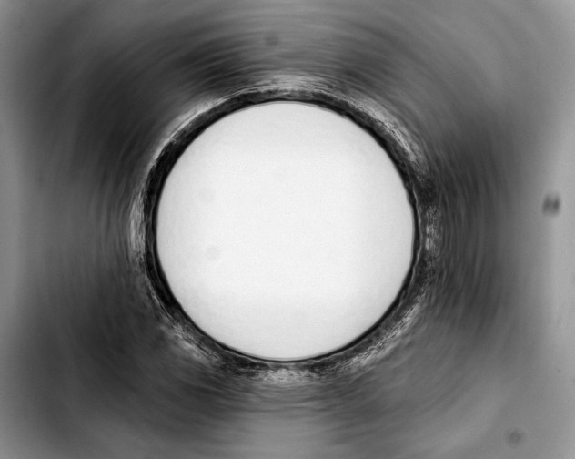 X0000103421117200810101012