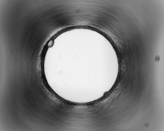 X0000103421118200810101013