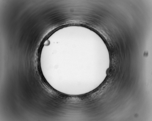 X0000103421119200810101013