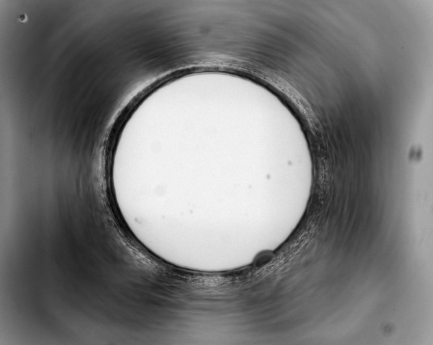 X0000103421120200810101013