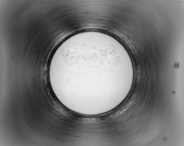 X0000103421121200810101013
