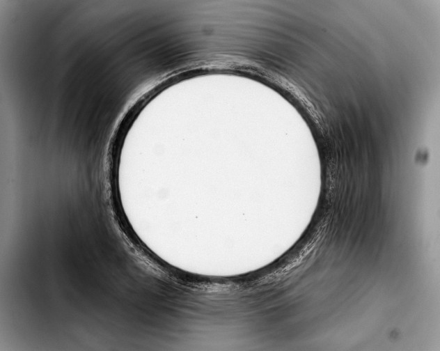 X0000103421122200810101013