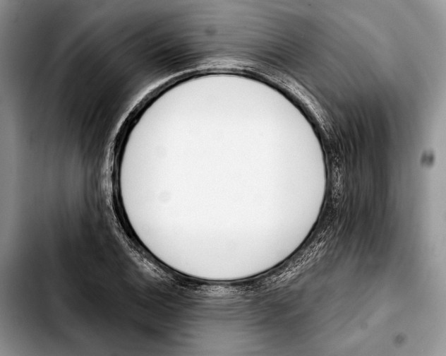 X0000103421124200810101013