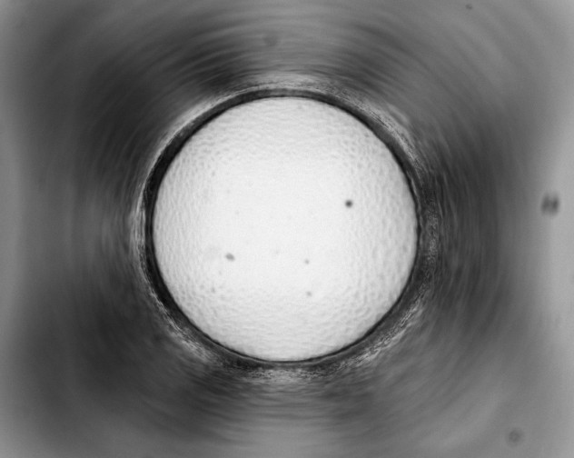 X0000103421125200810101013