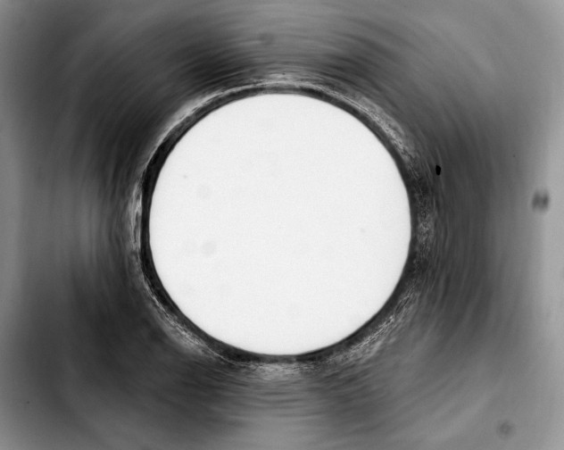 X0000103421126200810101013