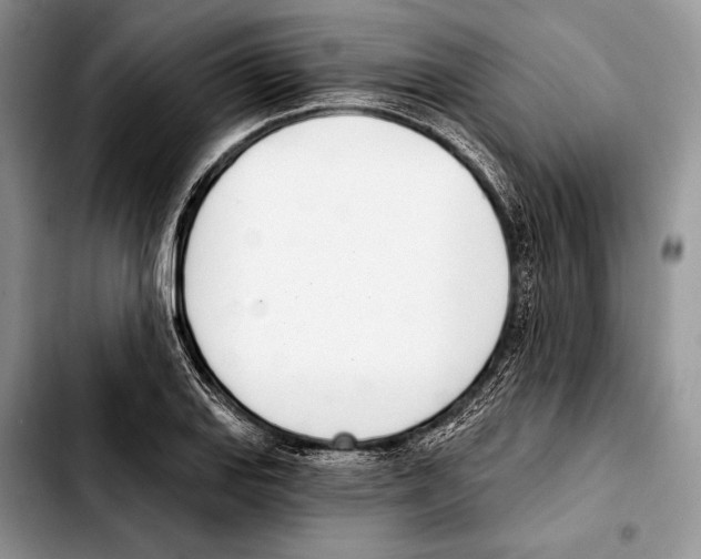 X0000103421127200810101013