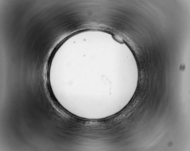 X0000103421128200810101013