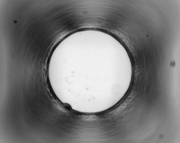 X0000103421129200810101013