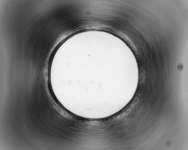 X0000103421130200810101013