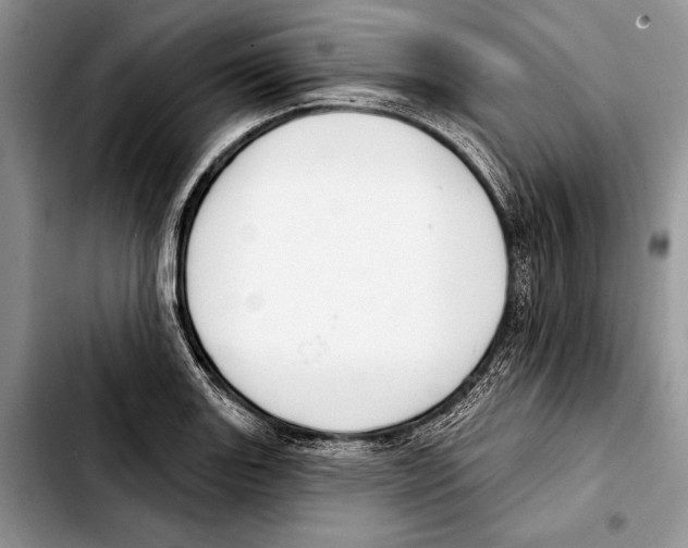 X0000103421131200810101013