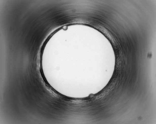X0000103421132200810101013