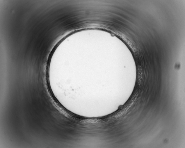 X0000103421134200810101013