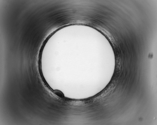 X0000103421135200810101013