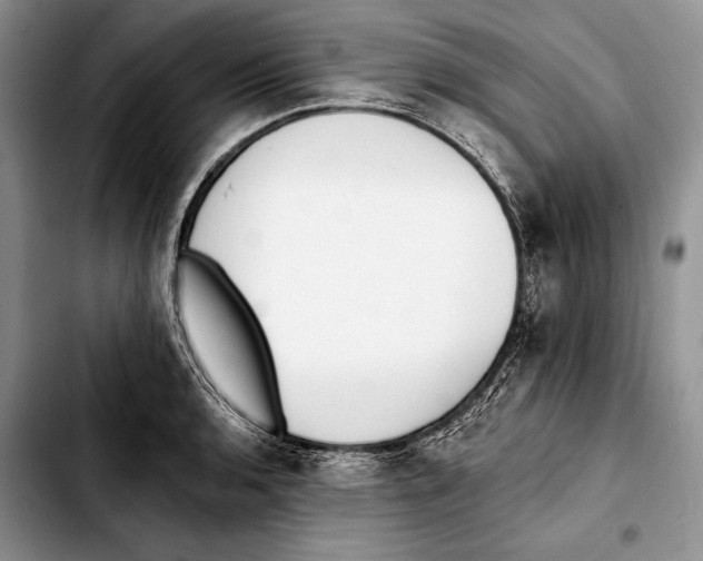X0000103421136200810101013
