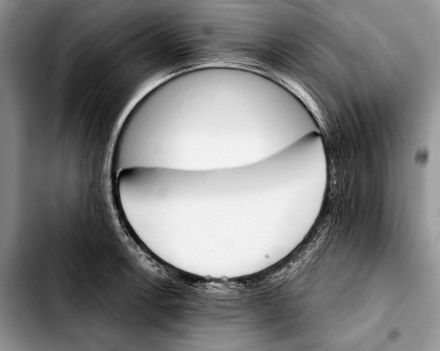 X0000103421138200810101013