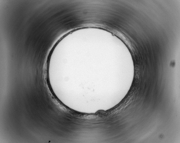 X0000103421140200810101013