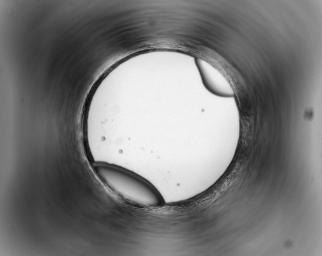 X0000103421141200810101013