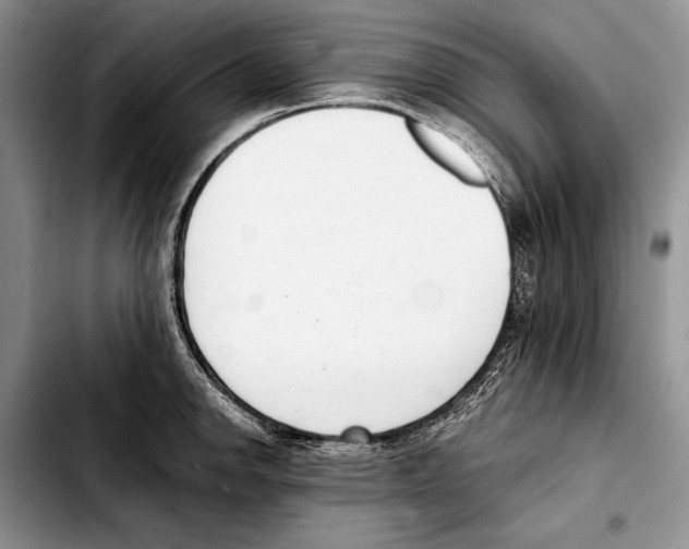 X0000103421142200810101013
