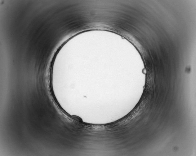 X0000103421144200810101013