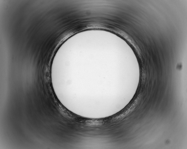X0000103421145200810101013