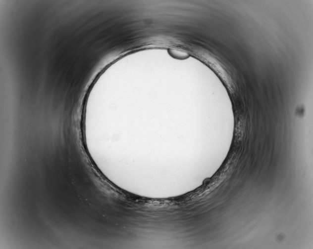 X0000103421146200810101013