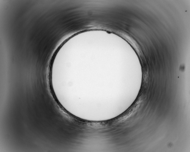 X0000103421149200810101013
