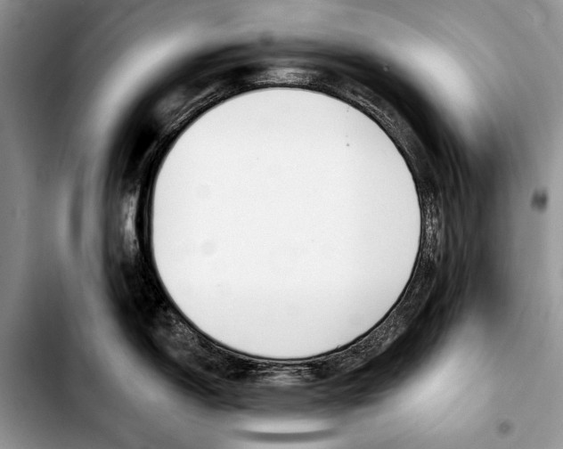 X0000103421150200810101013