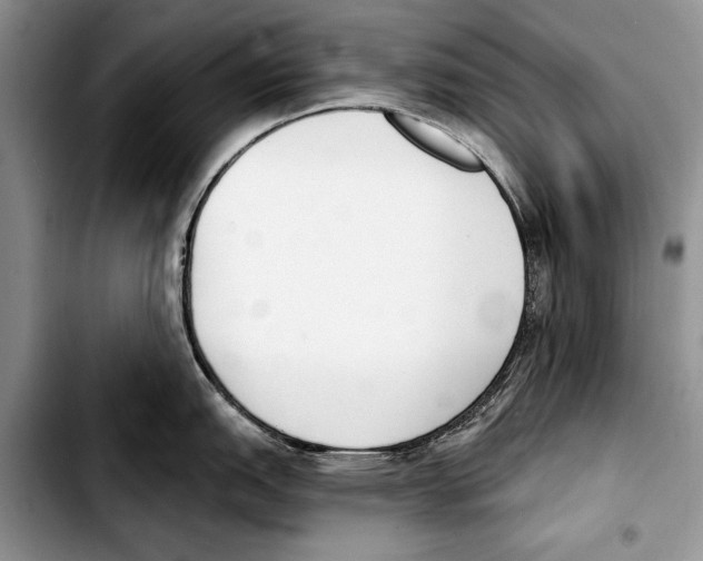 X0000103421151200810101013
