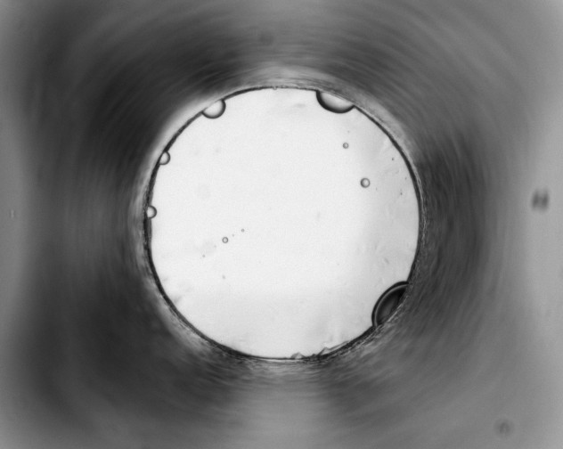 X0000103421152200810101013