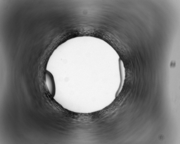 X0000103421153200810101012
