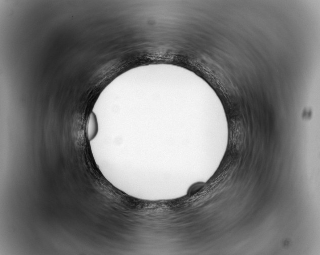 X0000103421154200810101012