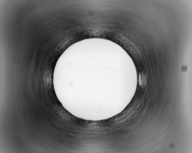 X0000103421155200810101012