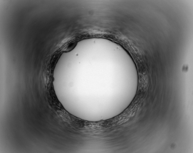 X0000103421157200810101012