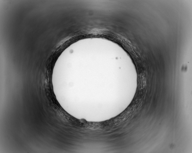 X0000103421158200810101012
