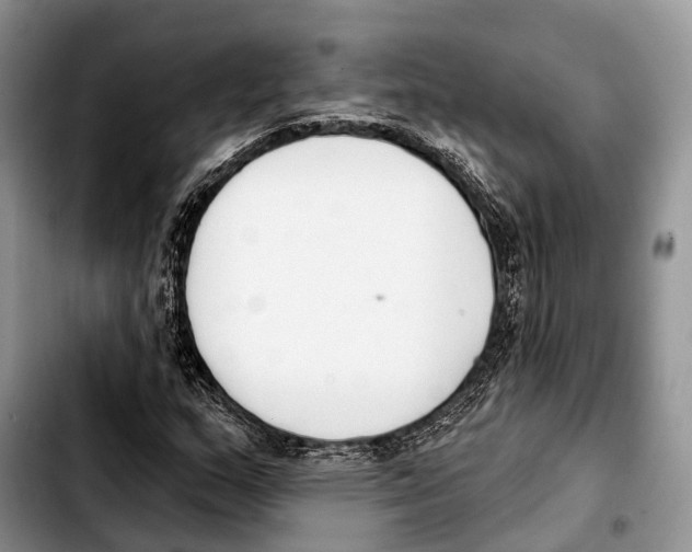 X0000103421159200810101012