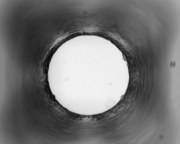 X0000103421160200810101012