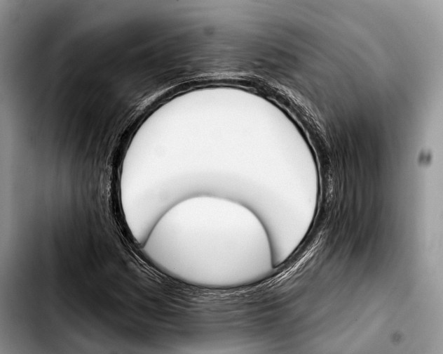 X0000103421161200810101012