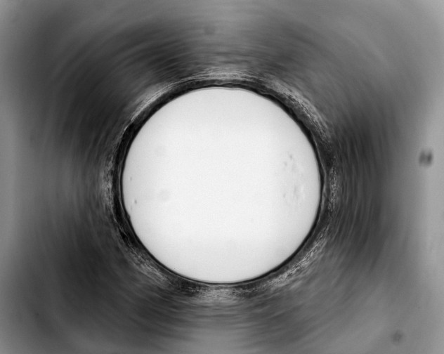X0000103421162200810101012