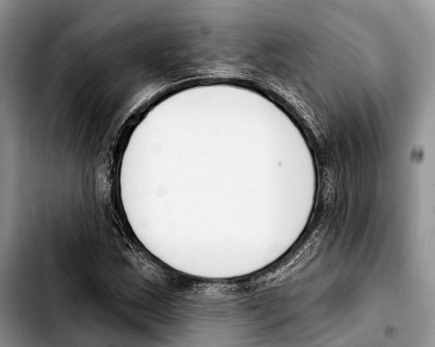 X0000103421163200810101012