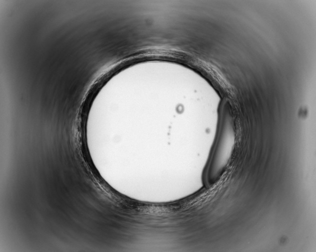 X0000103421164200810101012