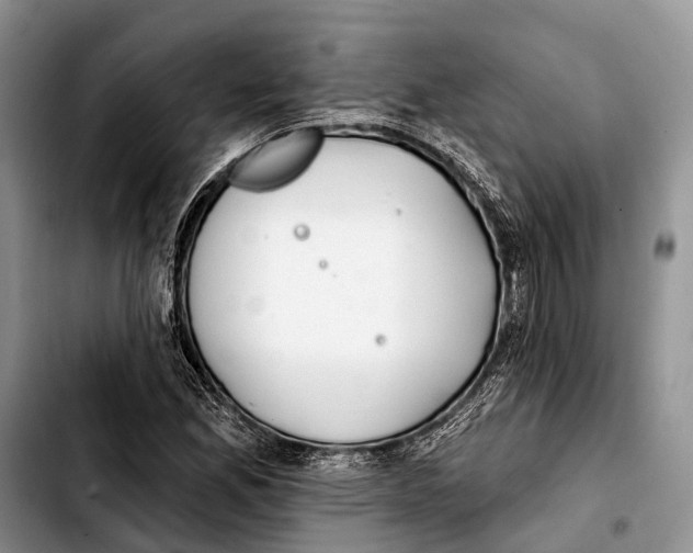 X0000103421165200810101012